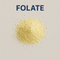 Folate