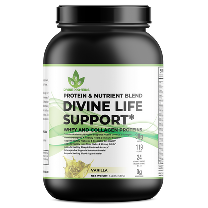 Divine Life Support (15 Servings Per Container)